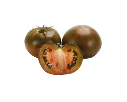 Tomaten Primora