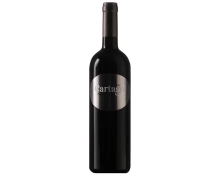Toro DO Tinta de Toro San Román Bodegas y Viñedos (2017) – Rotwein, Spanien (0.75l)