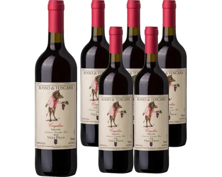 Toscana Cingalino Villa Pillo 6x 75cl (2022) – Rotwein, Italien (0.75l)