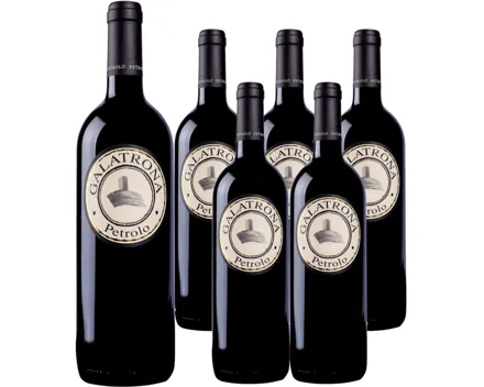 Toscana DOC Merlot Galatrona Val d'Arno di Sopra Petrolo 6x 75cl (2022) – Rotwein, Italien (0.75l)
