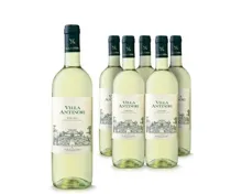 Toscana IGT Bianco Villa Antinori 6x 75cl