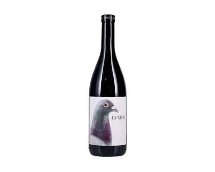 Toskana IGT Syrah Lumeo Oliviere Toscani (2018) – Rotwein, Italien (0.75l)