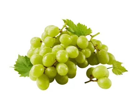 Trauben hell kernlos