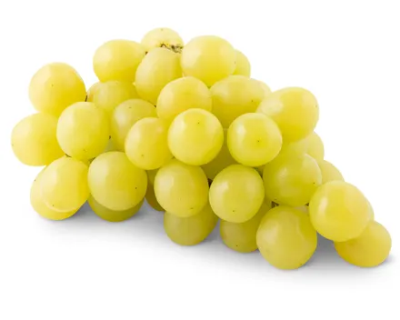 Trauben Uva Italia
