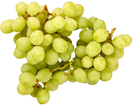 Trauben weiss
