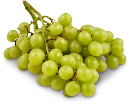 Trauben weiss, kernlos, Fairtrade
