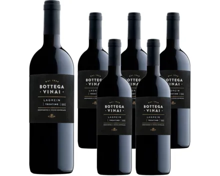Trentino DOC Lagrein Bottega Vinai Cavit 6x 75cl (2021) – Rotwein, Italien (0.75l)