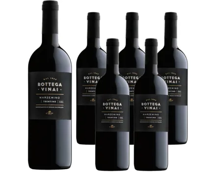 Trentino DOC Marzemino Bottega Vinai Cavit 6x 75cl (2020) – Rotwein, Italien (0.75l)