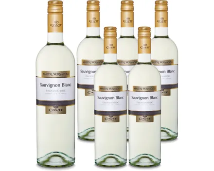 Trentino DOC Mastri Vernacoli Sauvignon Blanc 6x 75cl (2025) – Weisswein, Italien (0.75l)