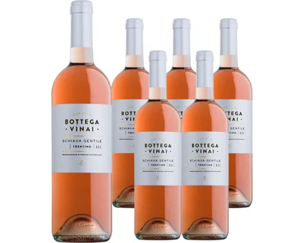 Trentino DOC Schiava Gentile Bottega Vinai Cavit 6x 75cl (2022) – Roséwein, Italien (0.75l)