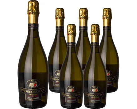 Treviso DOC Montelliana Montasolo Extra Dry 6x 75cl – Schaumwein, Italien (0.75l)