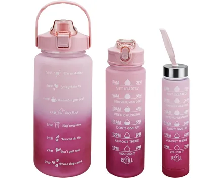 Trinkflasche rosa/bordeaux, 3 Stück