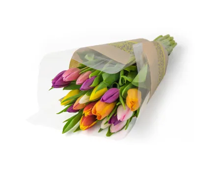Tulpen gemischt 18 Stück