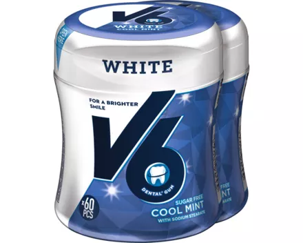 V6 White Cool Mint Bottle Kaugummi ohne Zucker 2 x 87 g