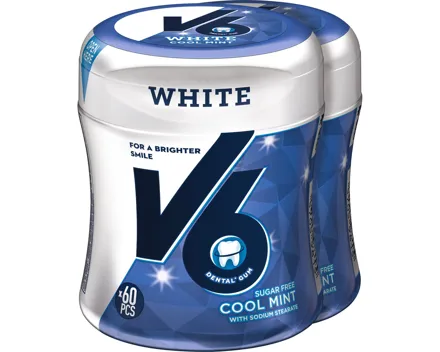 V6 White Cool Mint Bottle Kaugummi ohne Zucker 2 x 87 g