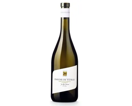 Valais AOC Amigne de Vétroz Jean-René Germanier (2023) – Weisswein, Schweiz (0.75l)
