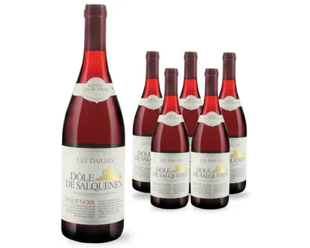 Valais AOC Dôle de Salquenen Les Dailles 6x 75cl (2024) – Rotwein, Schweiz (0.75l)