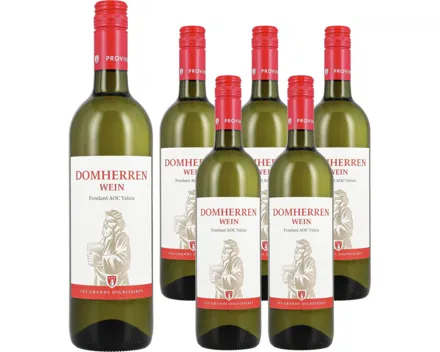 Valais AOC Fendant Domherrenwein Provins 6x 75cl (2023) – Weisswein, Schweiz (0.75l)