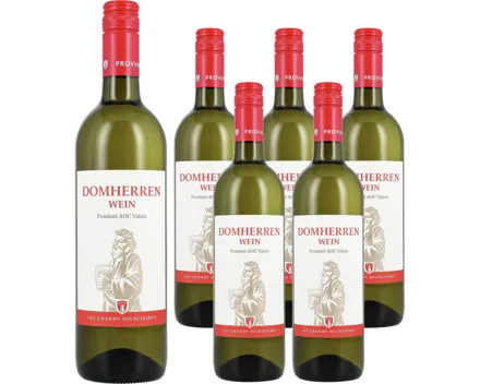 Valais AOC Fendant Domherrenwein Provins 6x 75cl (2024) – Weisswein, Schweiz (0.75l)