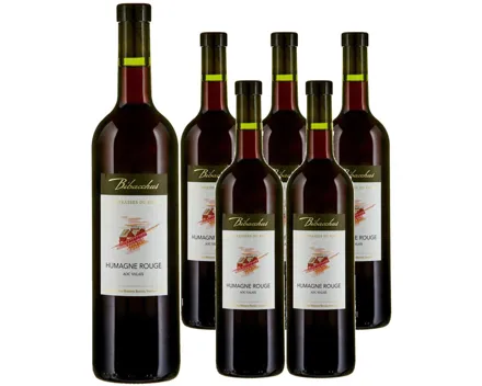 Valais AOC Humagne Rouge Terrasses du Rhône Bibacchus 6x 75cl (2023) – Rotwein, Schweiz (0.75l)