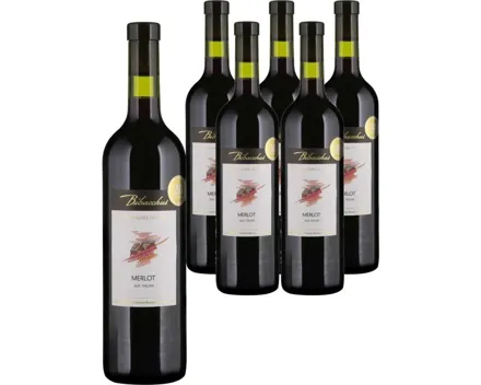 Valais AOC Merlot Bibacchus 6x 75cl (2024) – Rotwein, Schweiz (0.75l)