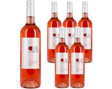 Valais AOC Oeil de Perdrix Rosé Alia 6x 75cl