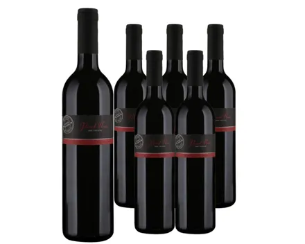 Valais AOC Pinot Noir de Sierre Clavien 6x 75cl (2024) – Rotwein, Schweiz (0.75l)