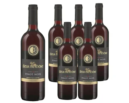 Valais AOC Pinot Noir Fleur du Rhône 6x 75cl (2024) – Rotwein, Schweiz (0.75l)