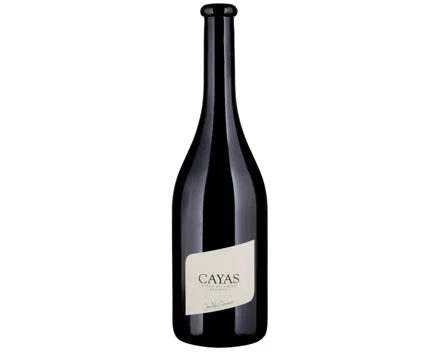 Valais AOC Syrah Cayas Jean-René Germanier (2022) – Rotwein, Schweiz (0.75l)