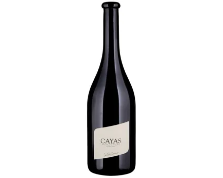Valais AOC Syrah Cayas Jean-René Germanier (2023) – Rotwein, Schweiz (0.75l)