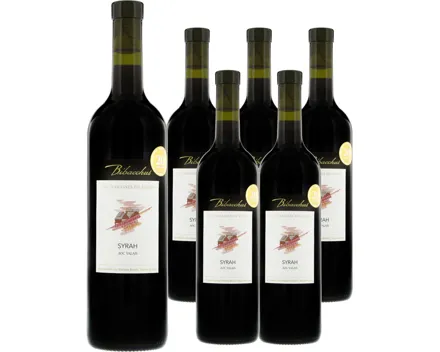 Valais AOC Syrah Terrasses du Rhône Bibacchus 6x 75cl (2024) – Rotwein, Schweiz (0.75l)