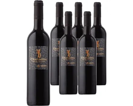 Vallée du Rhône IGP Gard Chamasutra Rouge Chartreux 6x 75cl (2025) – Rotwein, Frankreich (0.75l)