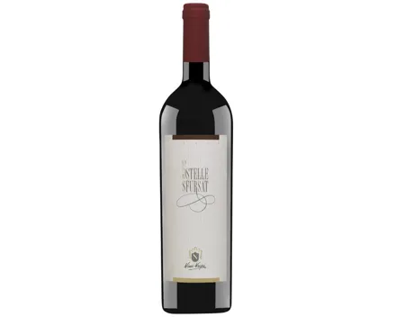 Valtellina Docg 5 Stelle Sfursat Nino Negri (2021) – Rotwein, Italien (0.75l)