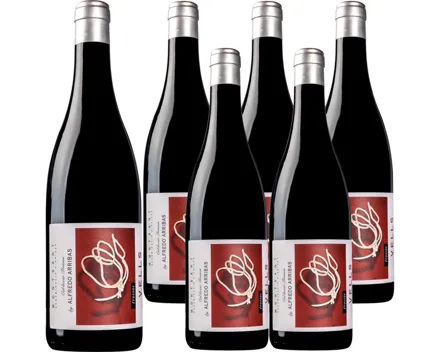 Venetien DOC Ripasso Valpolicella Classico Pegrandi Alberto Vaona 6x 75cl (2023) – Rotwein, Italien (0.75l)