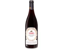 Veneto IGT Rosso Passito Amadea