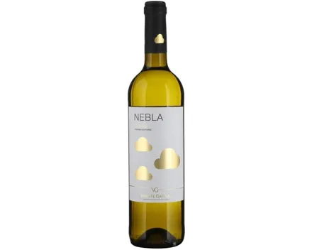 Verdejo Nebla Vicente Gandia (2025) – Weisswein, Spanien (0.75l)
