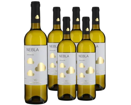 Verdejo Nebla Vicente Gandia 6x 75cl (2025) – Weisswein, Spanien (0.75l)