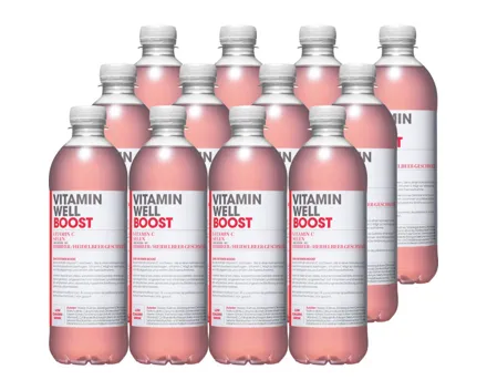 Vitamin Well Boost 12x 50cl