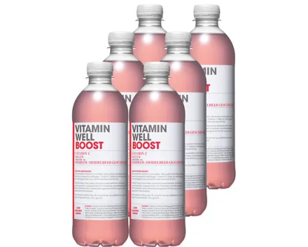 Vitamin Well Boost 6x 50cl