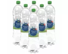 Volg Mineralwasser