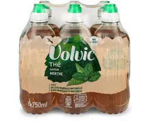Volvic Grüntee mit Minzgeschmack 6x75cl