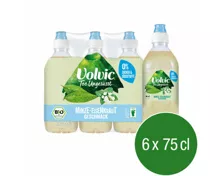 Volvic Tee Ungesüsst mit Minze- und Eisenkrautgeschmack 6x75cl