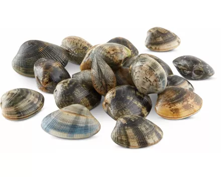 Vongole Veraci