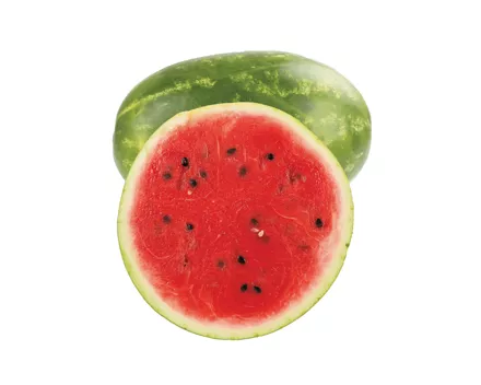 Wassermelone Dumara