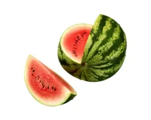 Wassermelone XXL