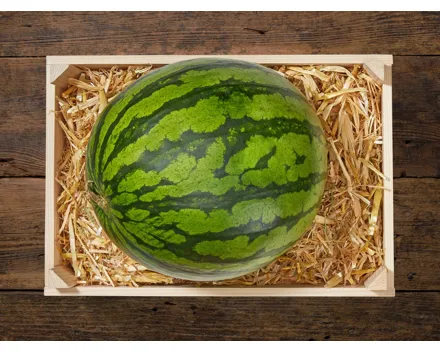 Wassermelonen