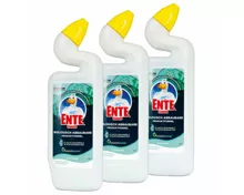 WC-Ente biologisch abbaubare Produktformel Flüssigreiniger Küstenwald, 3x750ml, Trio