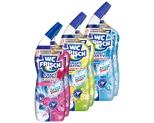 WC FRISCH Kraft-Aktiv