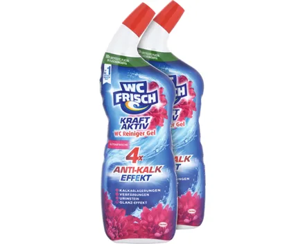 WC Frisch WC Reiniger Gel Kraft Aktiv Blütenfrische 2 x 750 ml