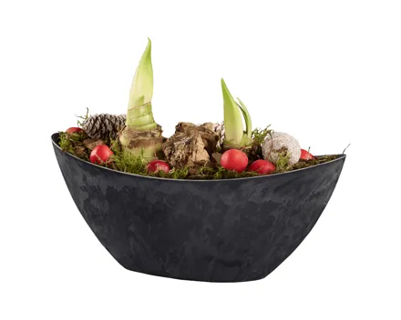 Weihnachtsschiff Arrangement